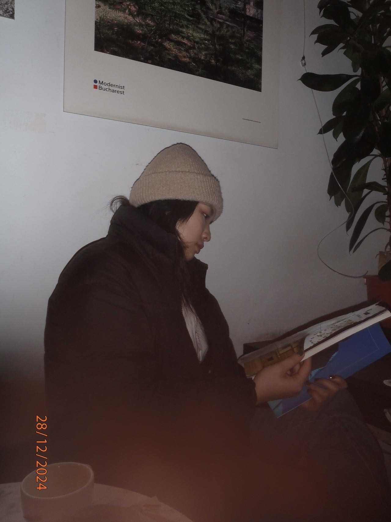 Portrait of Zixin Yan